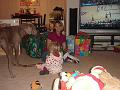 Christmas 2008 028